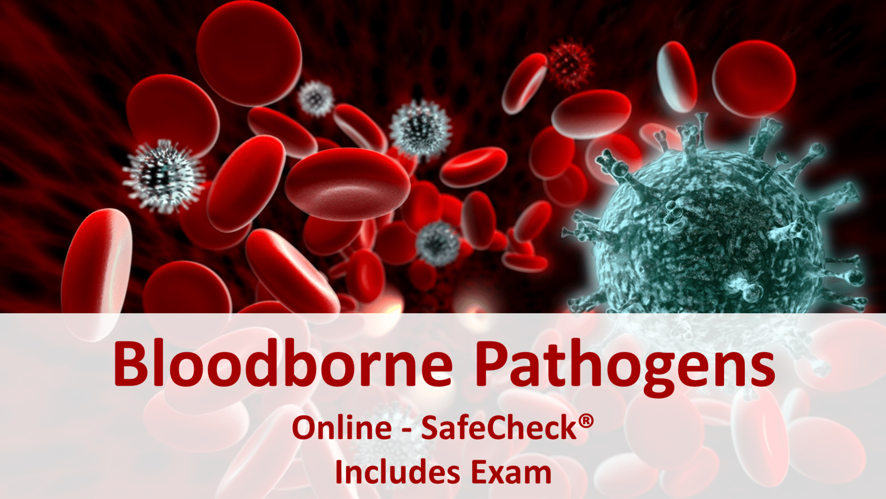 Bloodborne Pathogens Course - Essential Safety Training